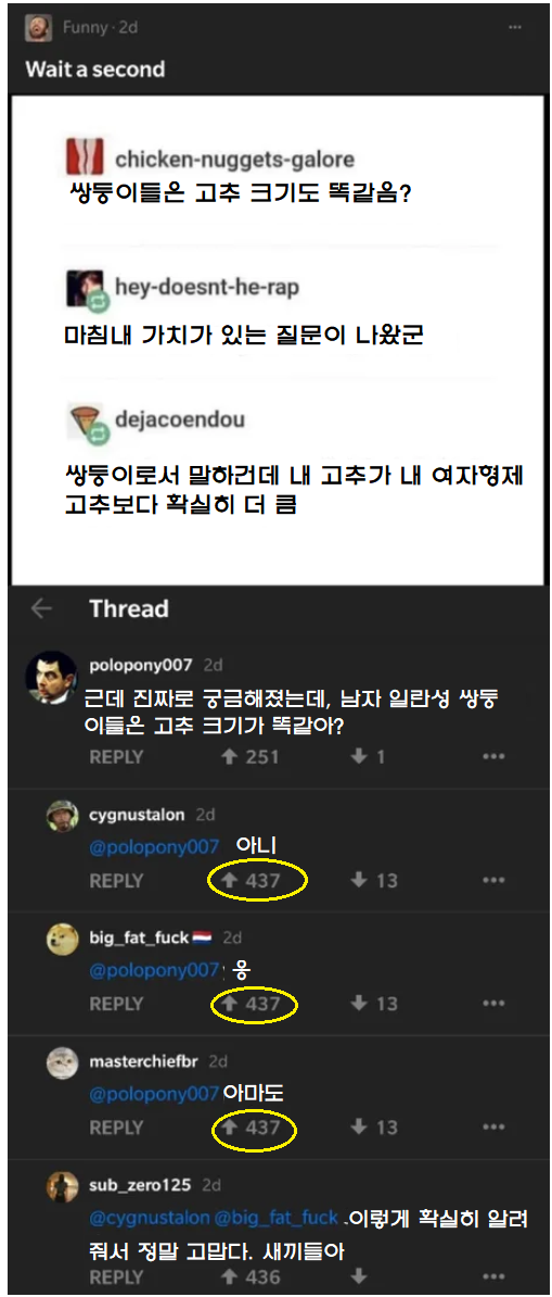 쌍둥이들은 고추 크기도 똑같을까