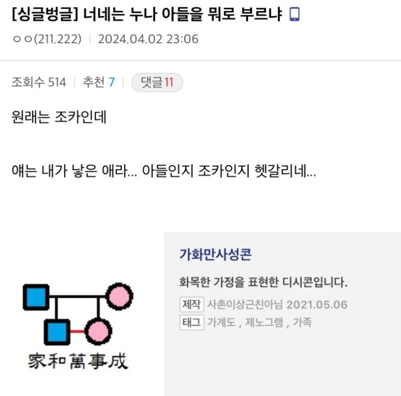 누나 아들을 뭐로 부르냐