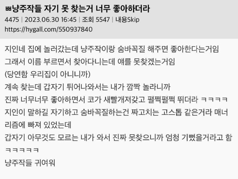 고양이들 자기 못 찾는거 너무 좋아하더라