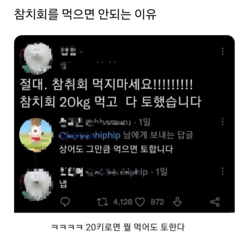 절대 참치회를 먹지 마세요