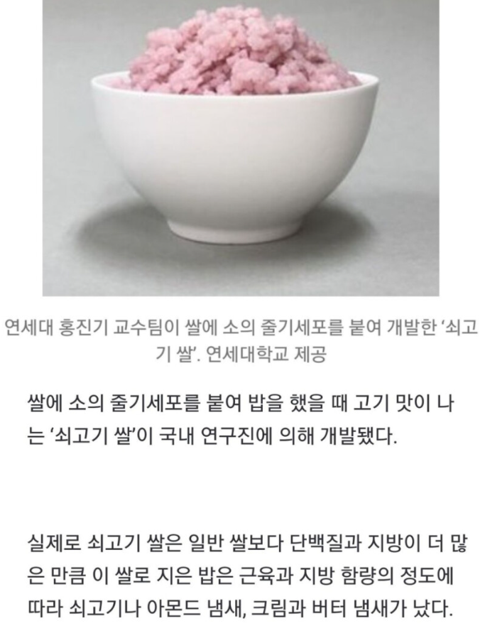 소고기맛 쌀