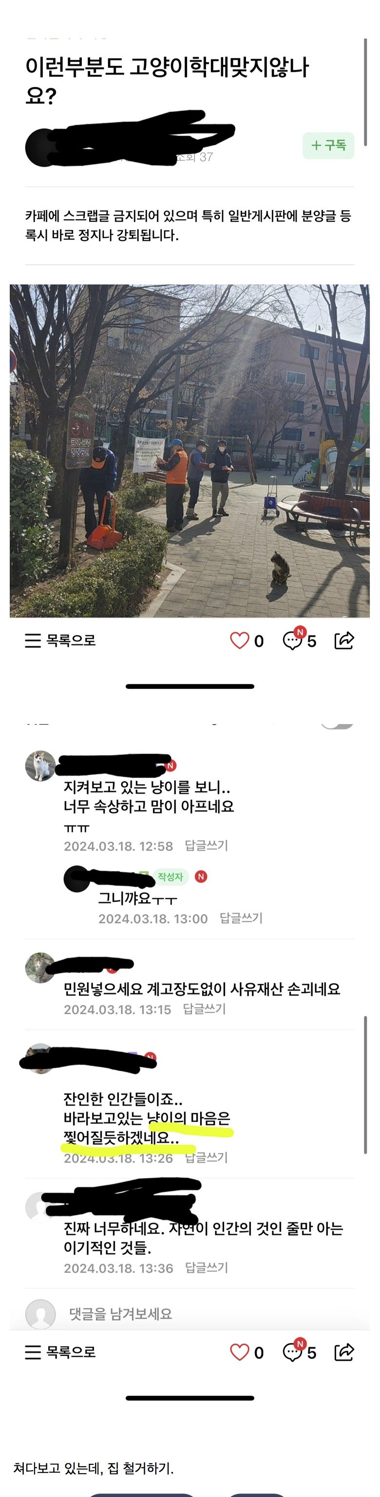 의외로 고양이 학대라는