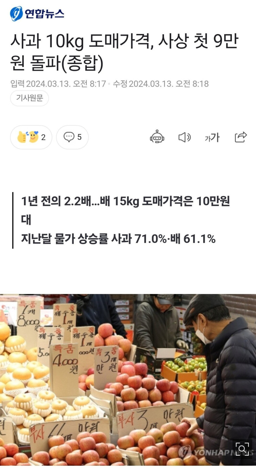 사과 10KG 도매가격