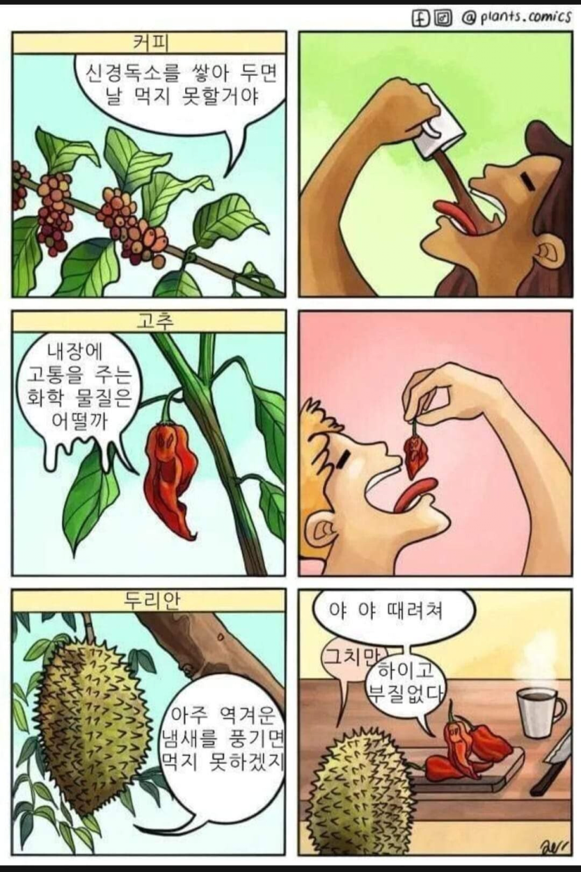 진짜 어떻게 음식이 됐을까