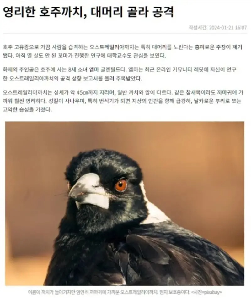 대머리 근황