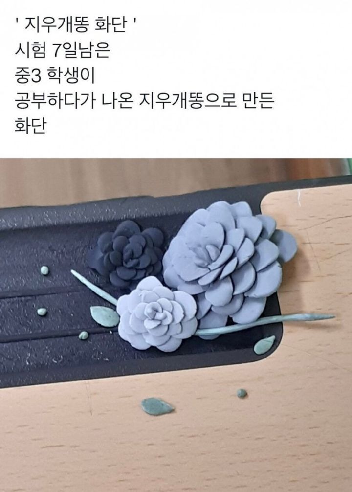 공부가 하기 싫었던 중학생