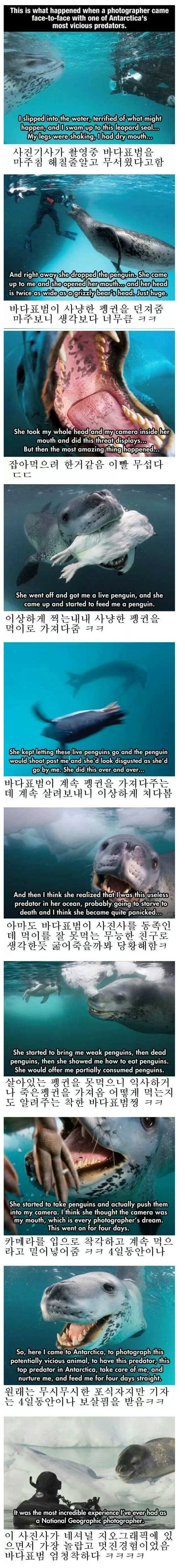 내셔널 지오그래픽 레전드 방송사고 ㄷㄷ