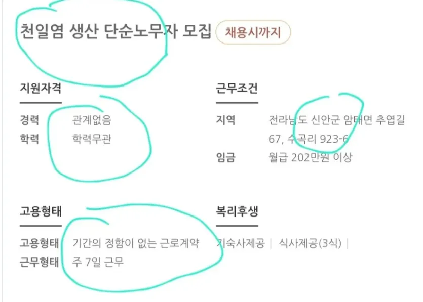 취직하면 굶어 죽을 걱정은 없는 회사