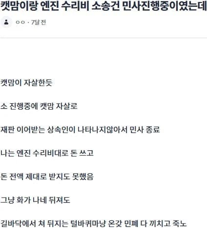 소송당하자 자살해버린 캣맘